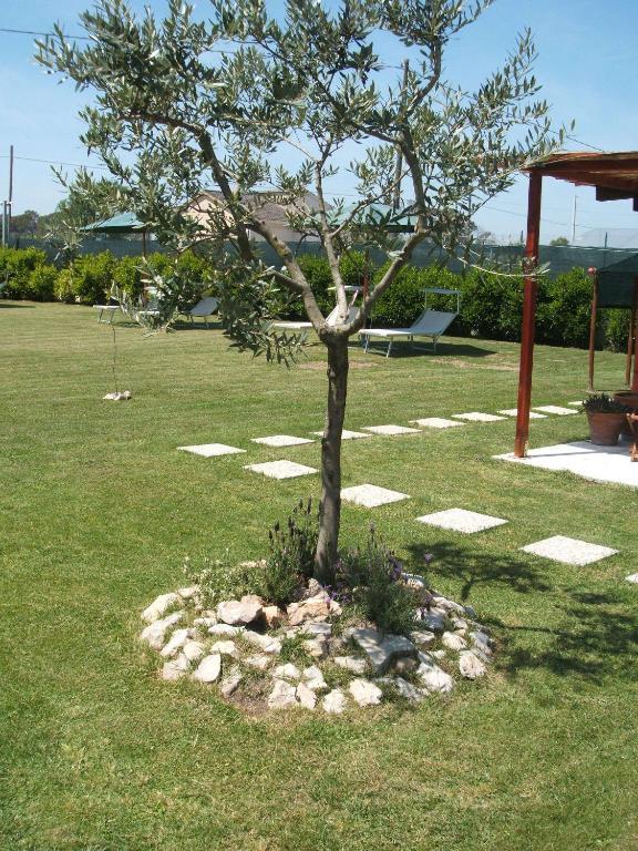 La Locanda Country House Borgo Montenero Eksteriør bilde